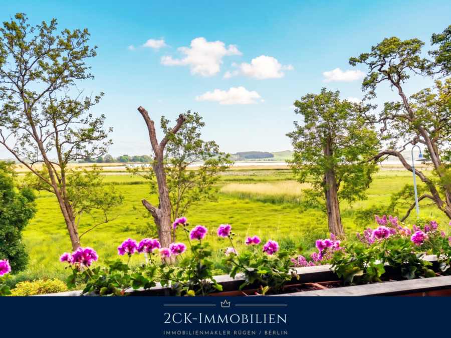 Boddenblick