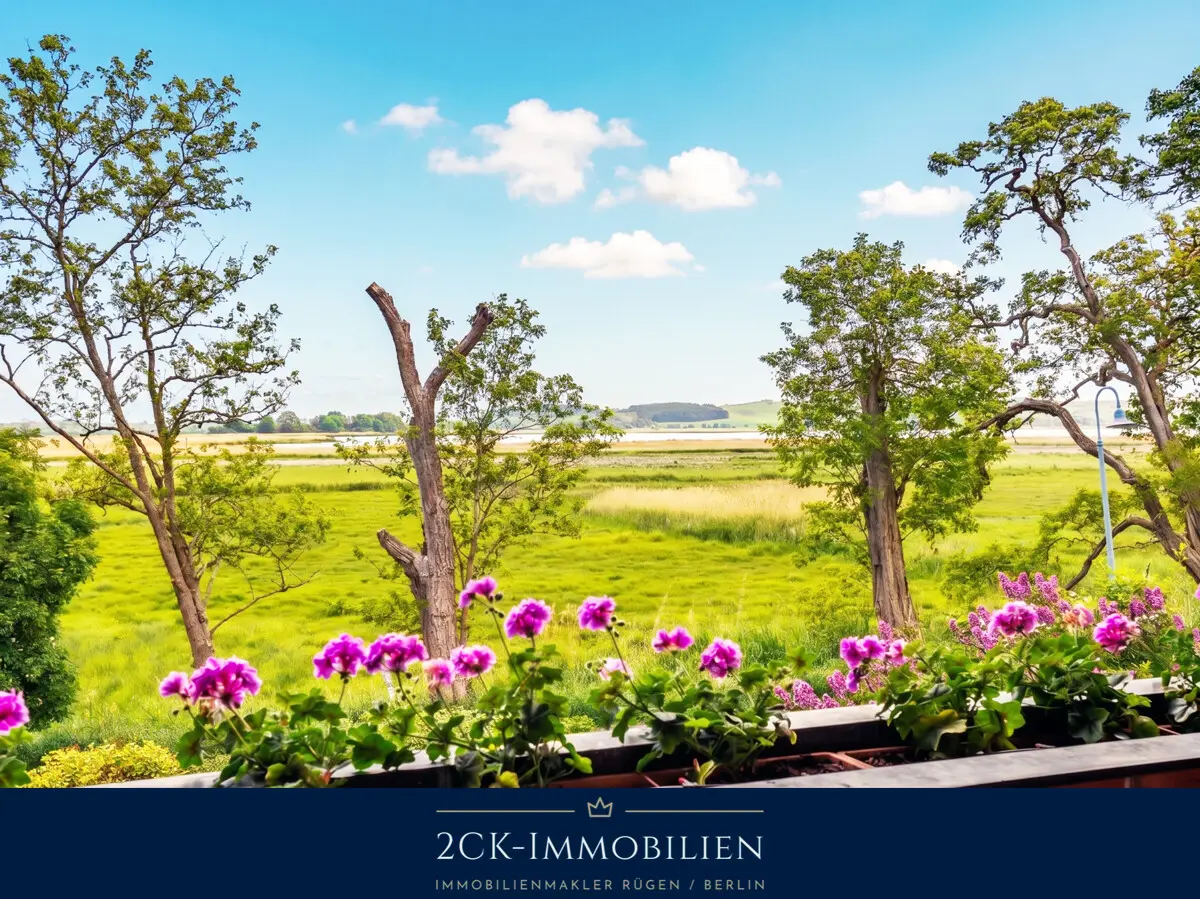 Boddenblick