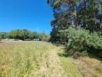 GRD Ückeritz aus Usedom (14) - Ihr kleines Stück Insel! 2000 m² Fläche in Ückeritz Insel Usedom