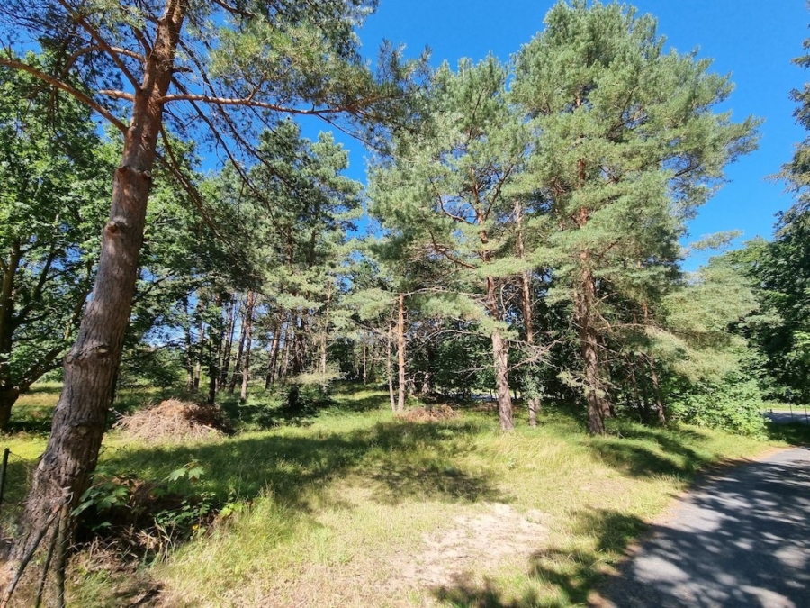 Ihr kleines Stück Insel! 2000 m² Fläche in Ückeritz Insel Usedom, 17459 Ückeritz, Land-/Forstwirtschaft