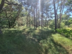 GRD Ückeritz aus Usedom (12) - Ihr kleines Stück Insel! 2000 m² Fläche in Ückeritz Insel Usedom