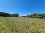 GRD Ückeritz aus Usedom (13) - Ihr kleines Stück Insel! 2000 m² Fläche in Ückeritz Insel Usedom