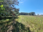 GRD Ückeritz aus Usedom (15) - Ihr kleines Stück Insel! 2000 m² Fläche in Ückeritz Insel Usedom