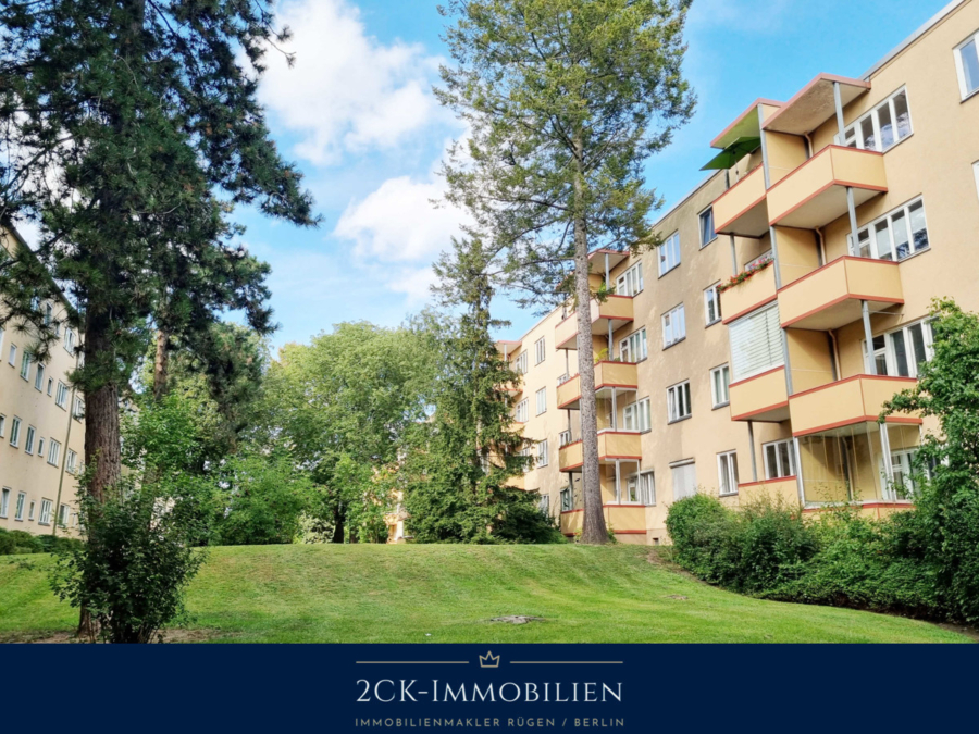 Blick in den sehr gepflegten Garten