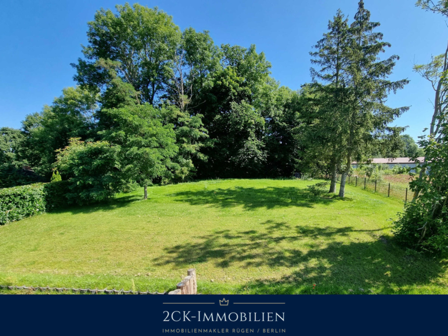 Blick in den Garten