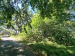 GRD Ückeritz aus Usedom (11) - Ihr kleines Stück Insel! 2000 m² in Ückeritz auf der Insel Usedom